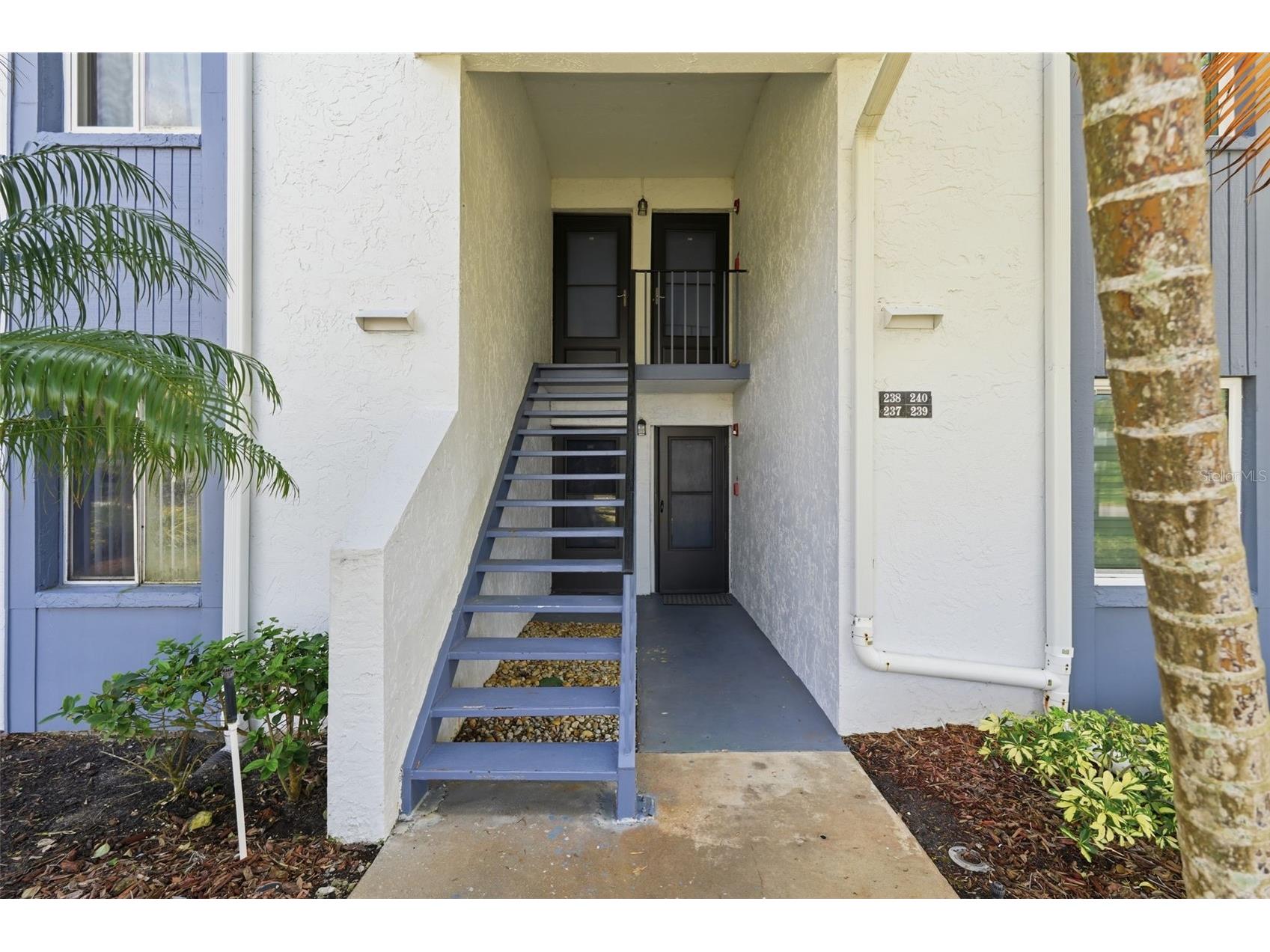 240 Cypress Lane #240 Oldsmar FL 34677 TB8481270 image2