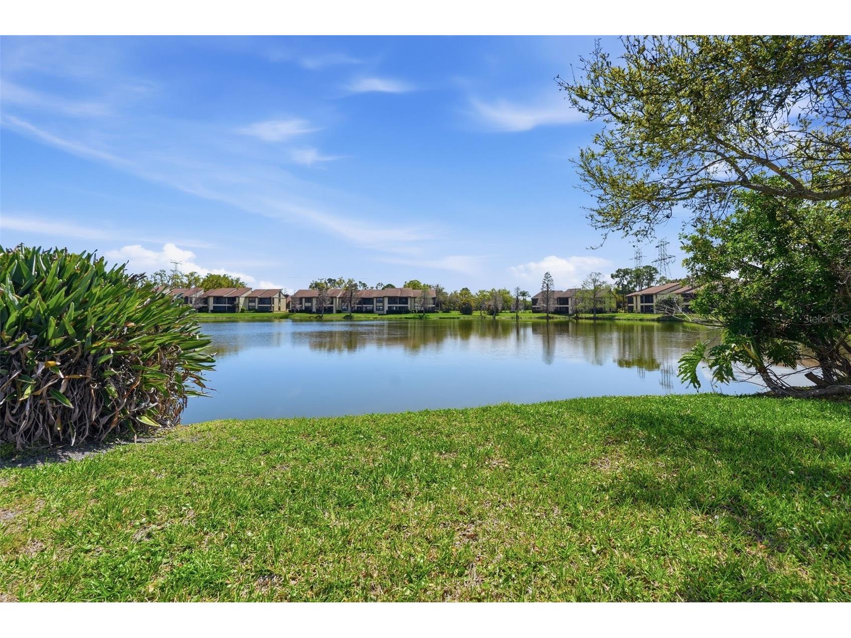 240 Cypress Lane #240 Oldsmar FL 34677 TB8481270 image26