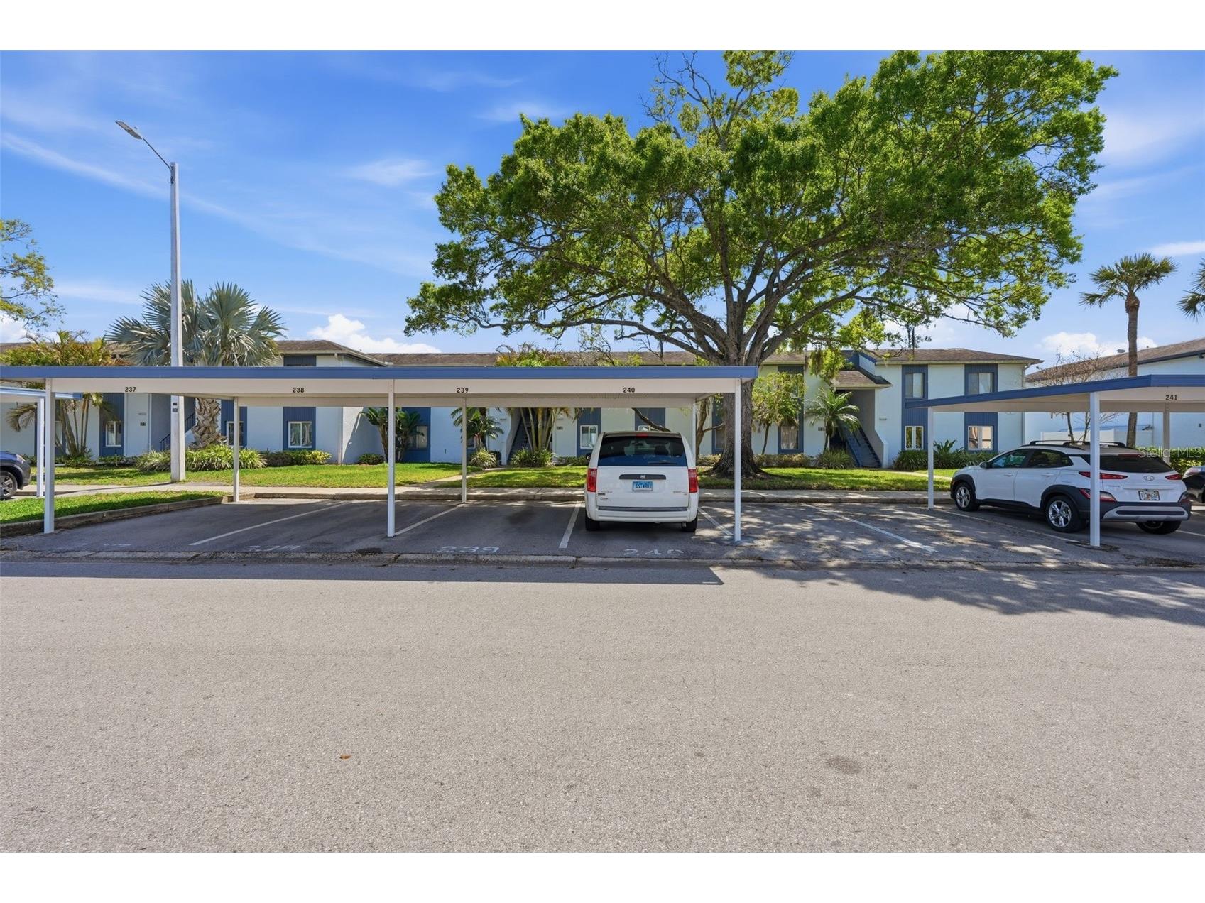 240 Cypress Lane #240 Oldsmar FL 34677 TB8481270 image27
