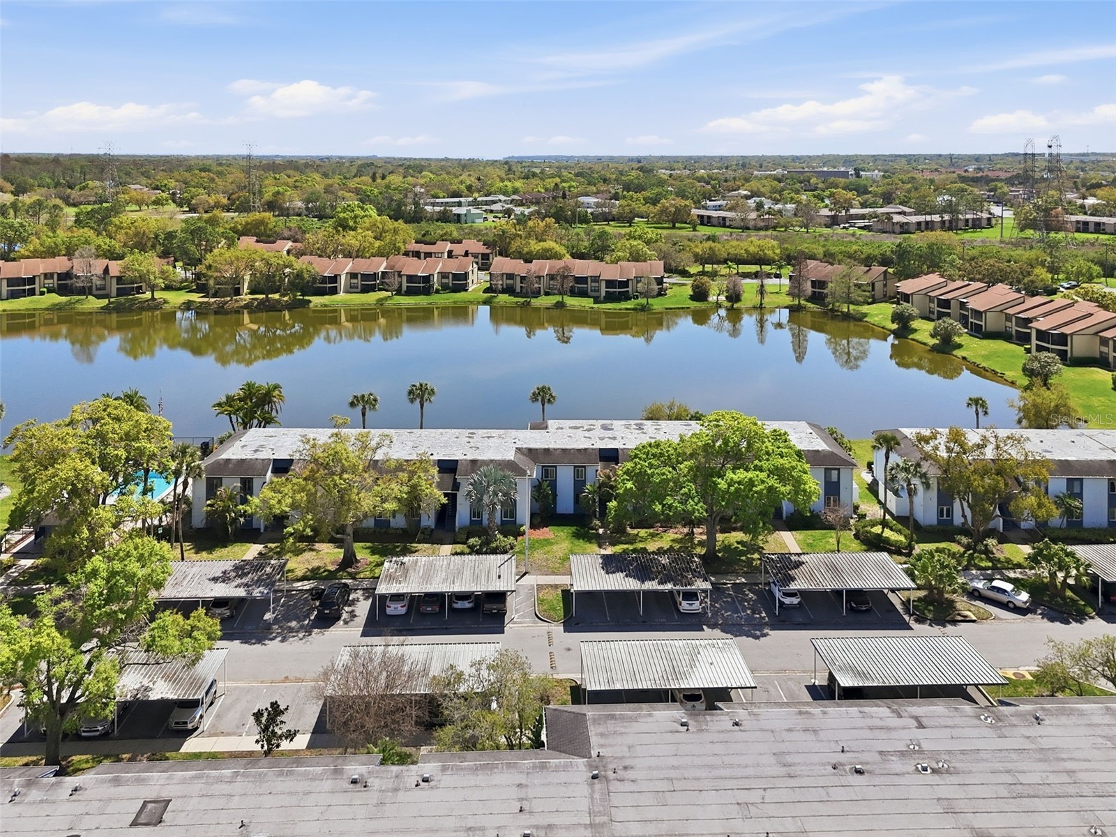 240 Cypress Lane #240 Oldsmar FL 34677 TB8481270 image28