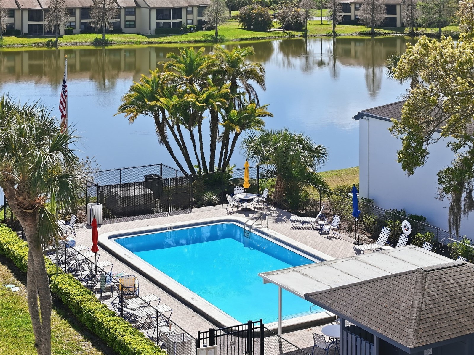 240 Cypress Lane #240 Oldsmar FL 34677 TB8481270 image30