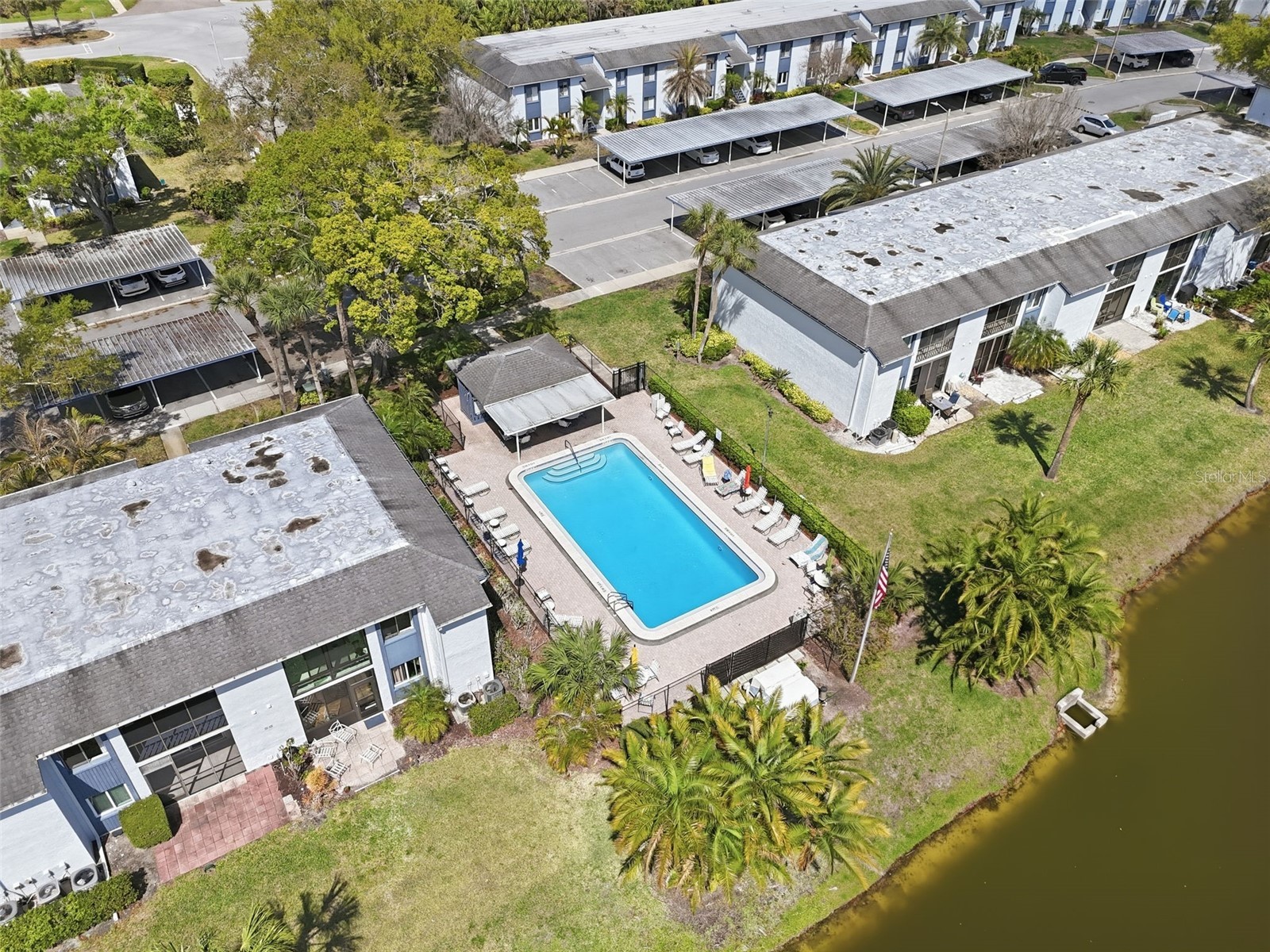 240 Cypress Lane #240 Oldsmar FL 34677 TB8481270 image31