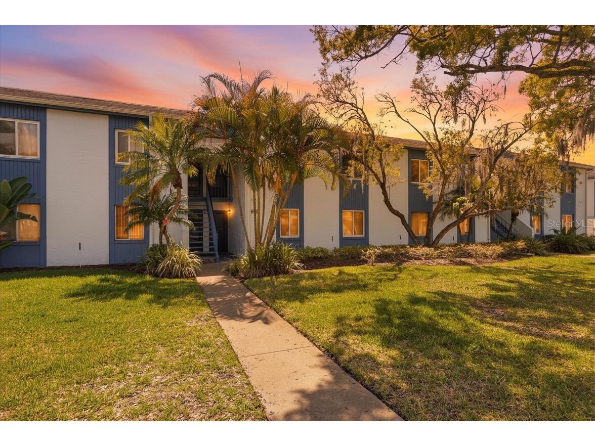 240 Cypress Lane #240 Oldsmar FL 34677 TB8481270 image33
