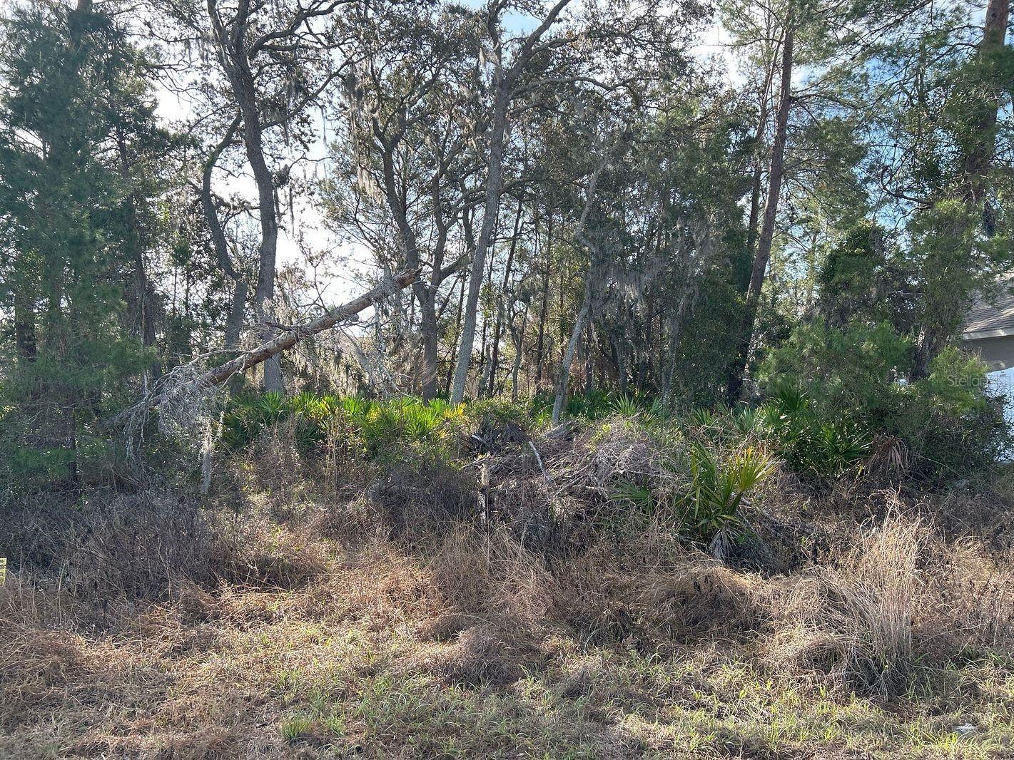 240 Elm Court Poinciana FL 34759 O6386502 image1
