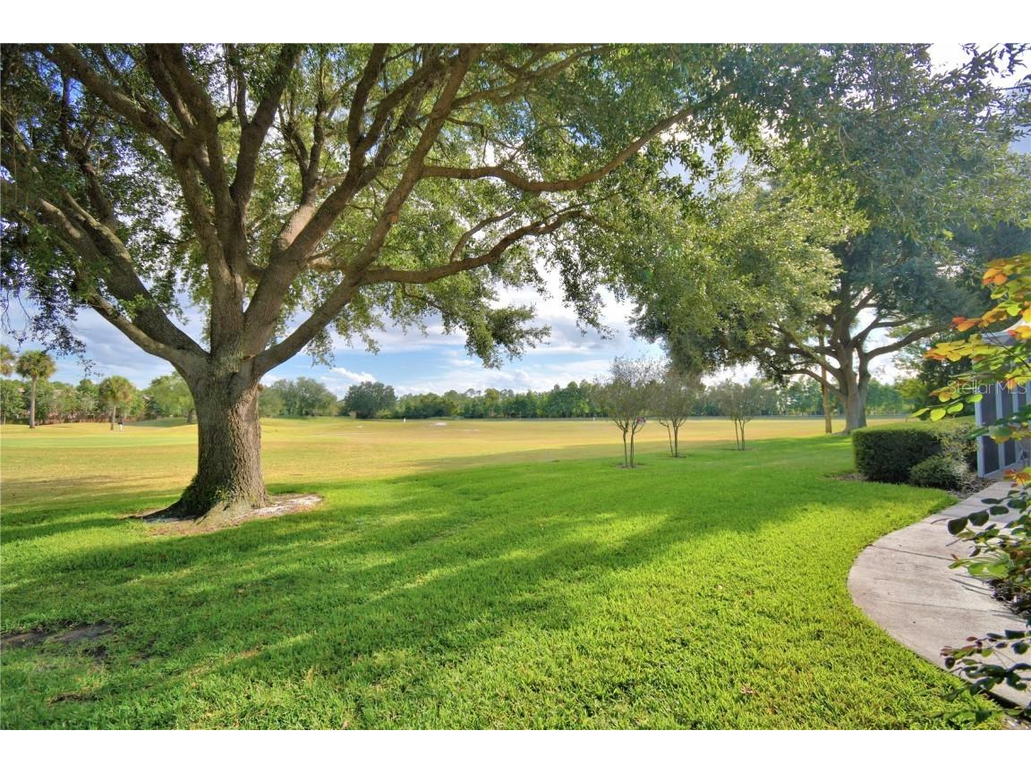 240 Golf Aire Boulevard Winter Haven FL 33884 P4936962 image3