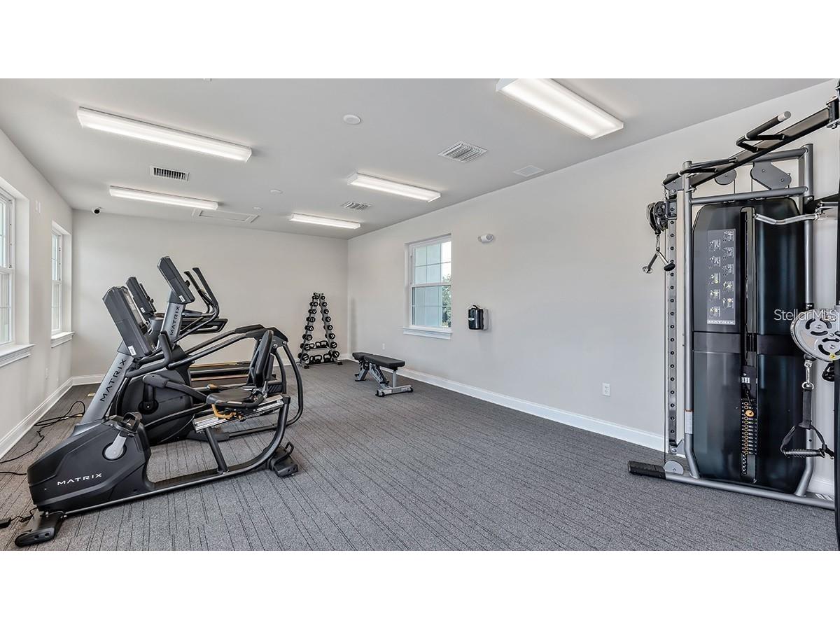 240 Ibiza Loop Venice FL 34292 A4650029 image11