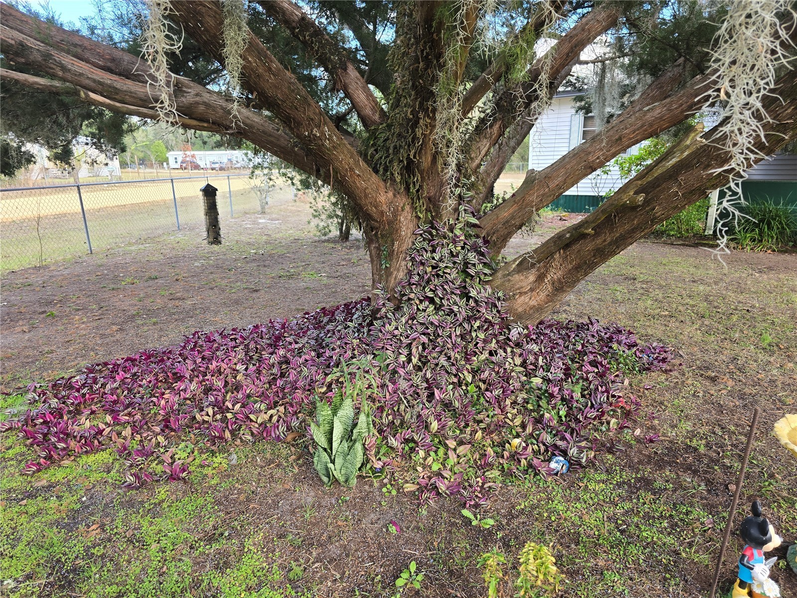 240 Kitty Avenue Interlachen FL 32148 GC536666 image2