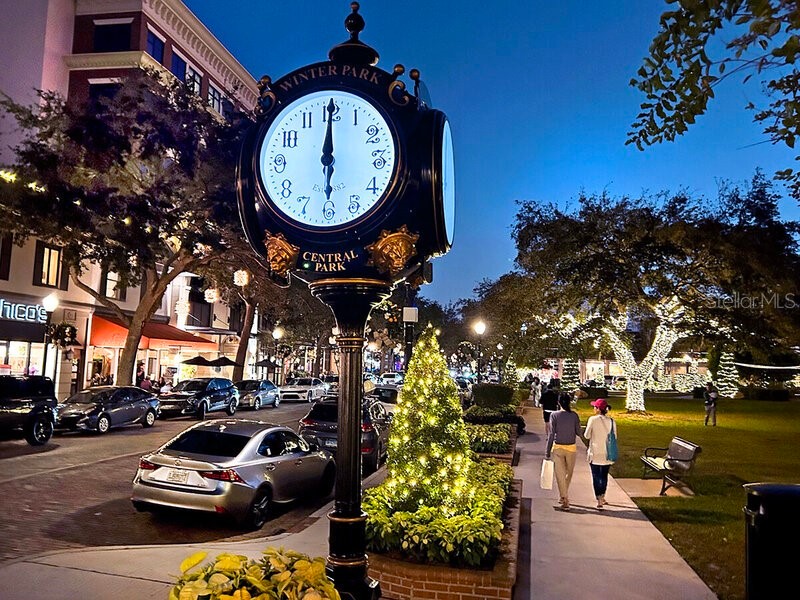 240 N Phelps Avenue Winter Park FL 32789 O6389035 image65