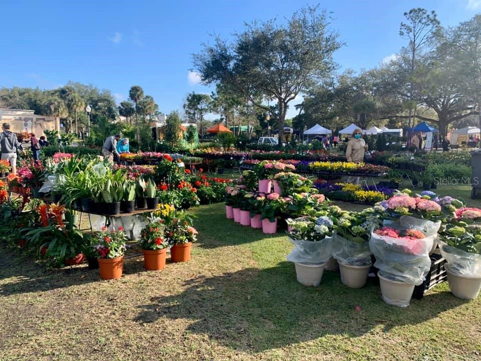 240 N Phelps Avenue Winter Park FL 32789 O6389035 image67