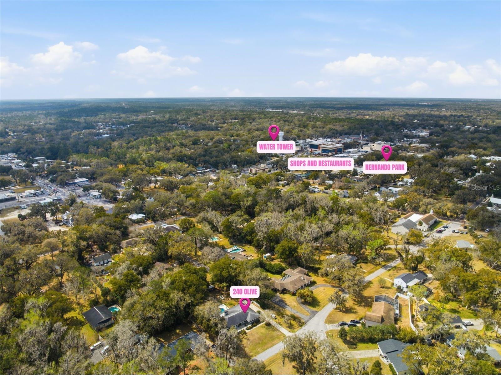 240 Olive Street Brooksville FL 34601 W7883198 image37