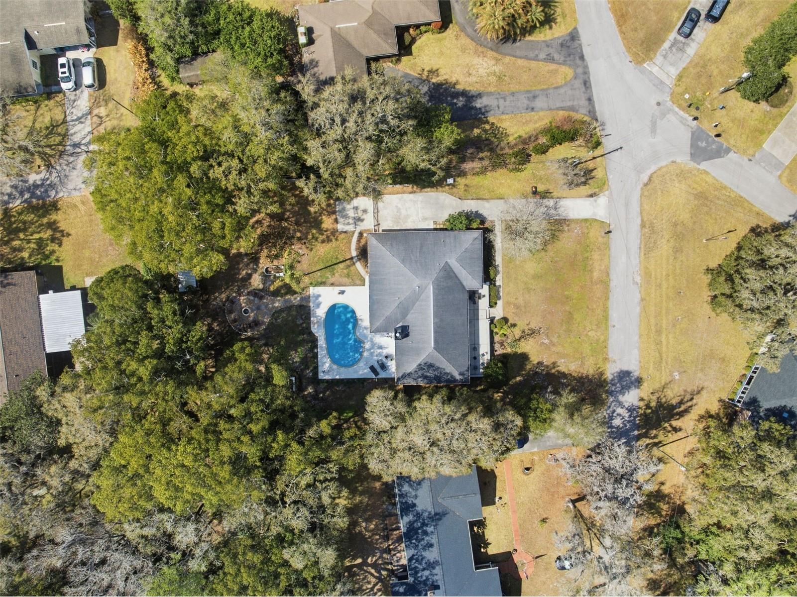 240 Olive Street Brooksville FL 34601 W7883198 image68