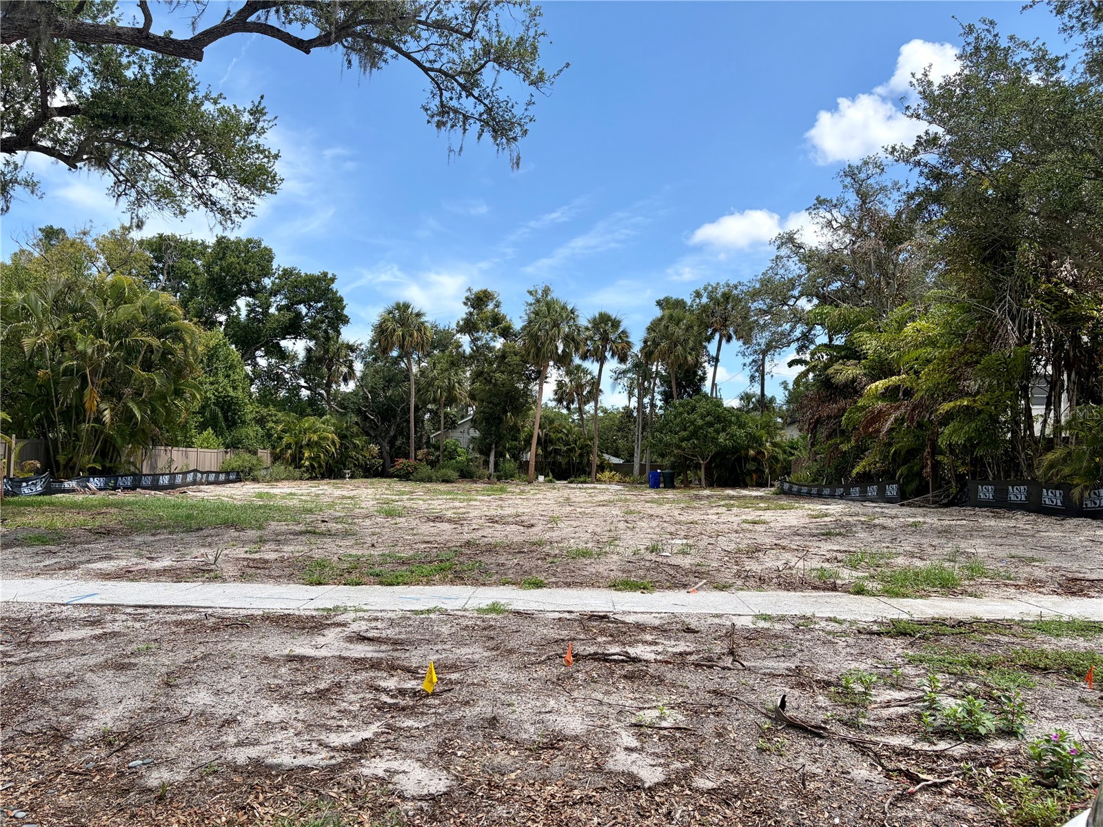 240 President Lot 17 Street Dunedin FL 34698 TB8512068 image4