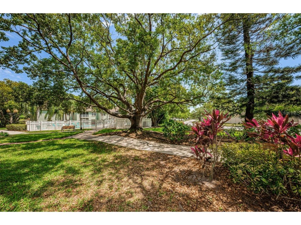 240 Promenade Drive #102 Dunedin FL 34698 TB8449587 image37
