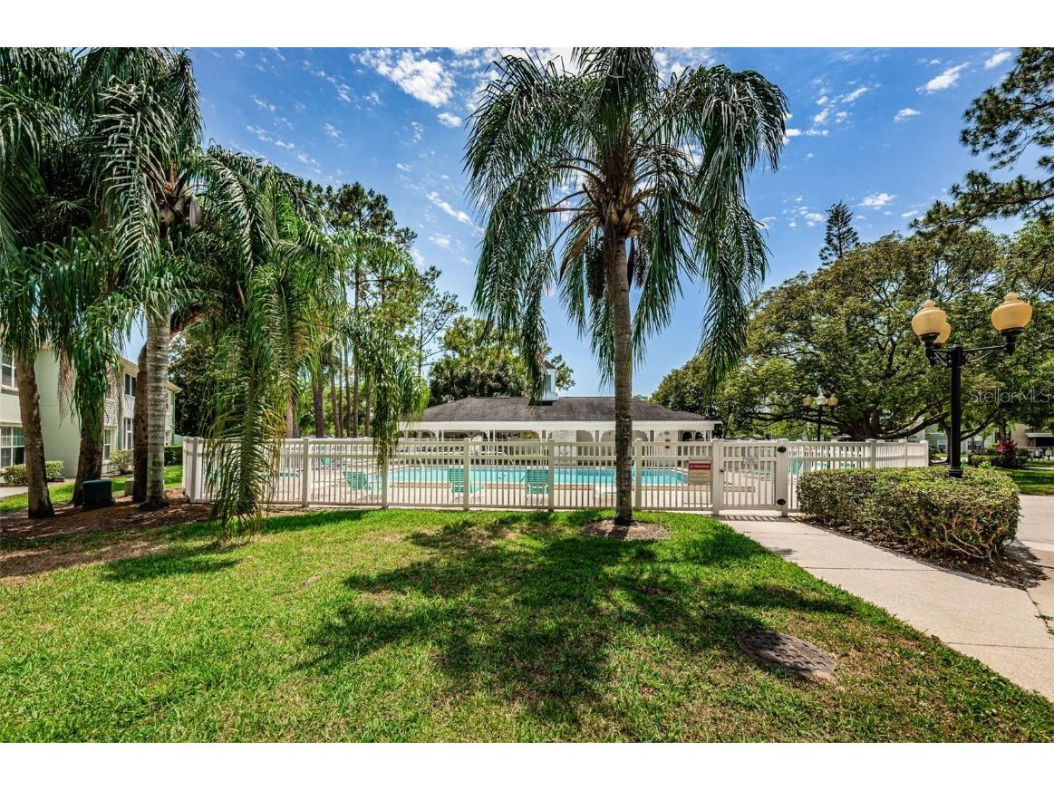 240 Promenade Drive #102 Dunedin FL 34698 TB8449587 image43