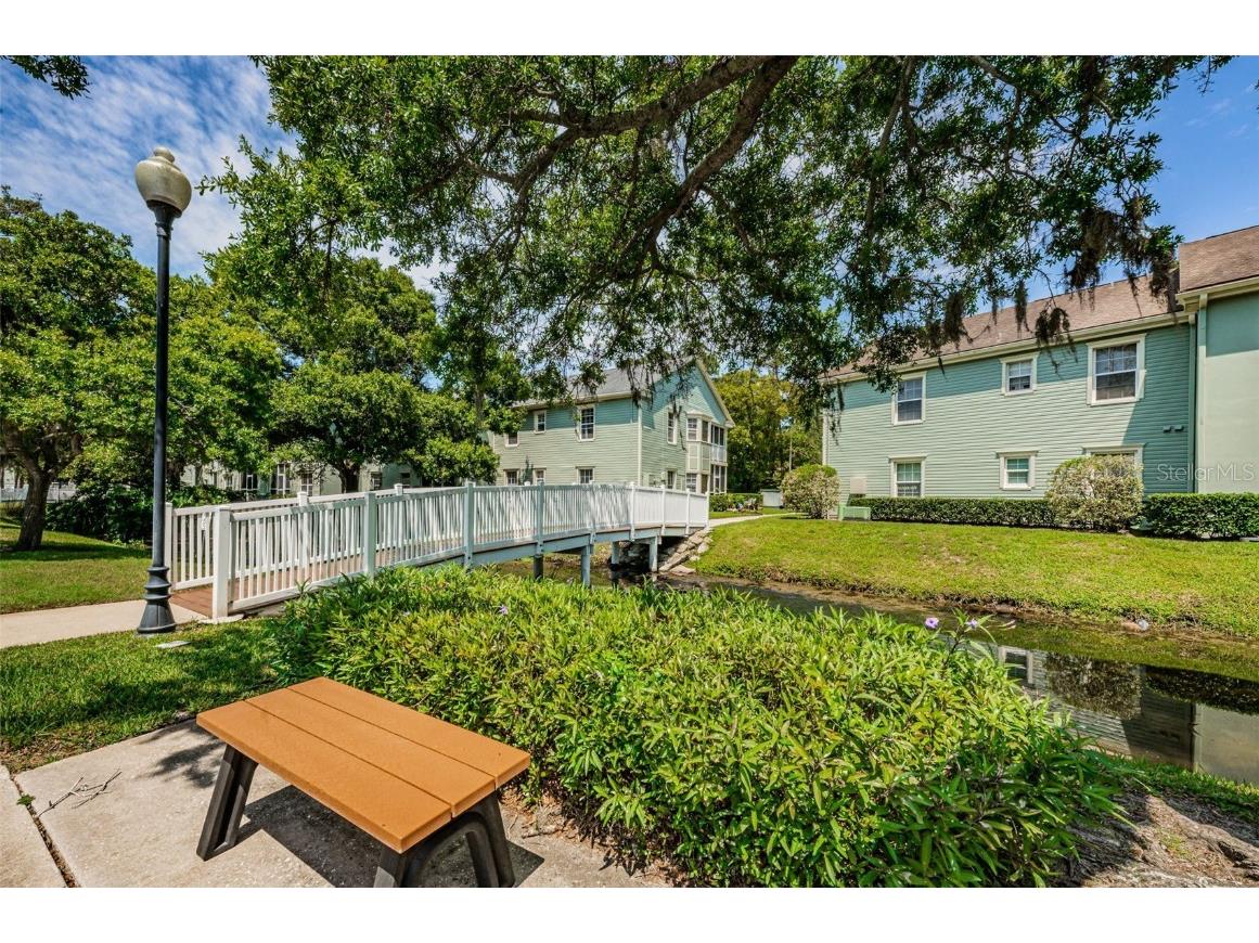 240 Promenade Drive #102 Dunedin FL 34698 TB8449587 image44