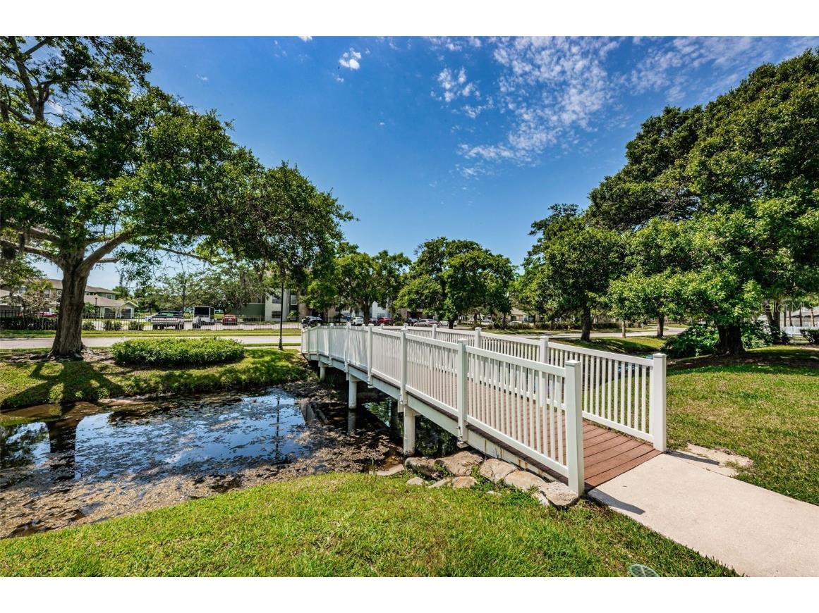 240 Promenade Drive #102 Dunedin FL 34698 TB8449587 image45
