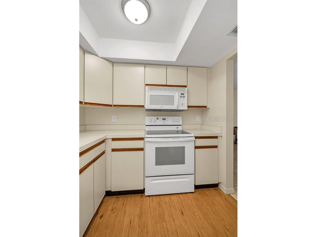 240 Promenade Drive #102 Dunedin FL 34698 TB8461803 image15