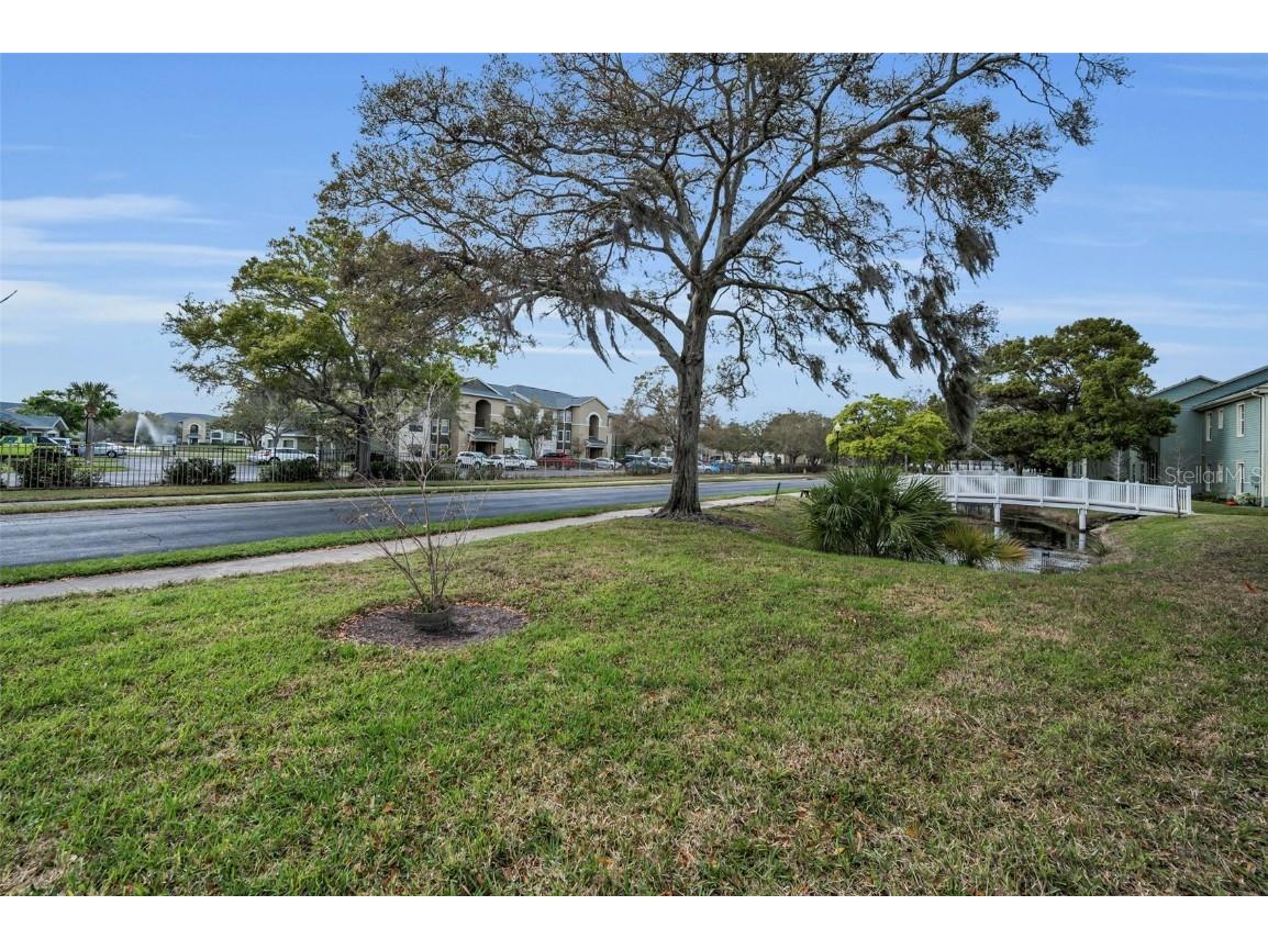 240 Promenade Drive #102 Dunedin FL 34698 TB8461803 image33