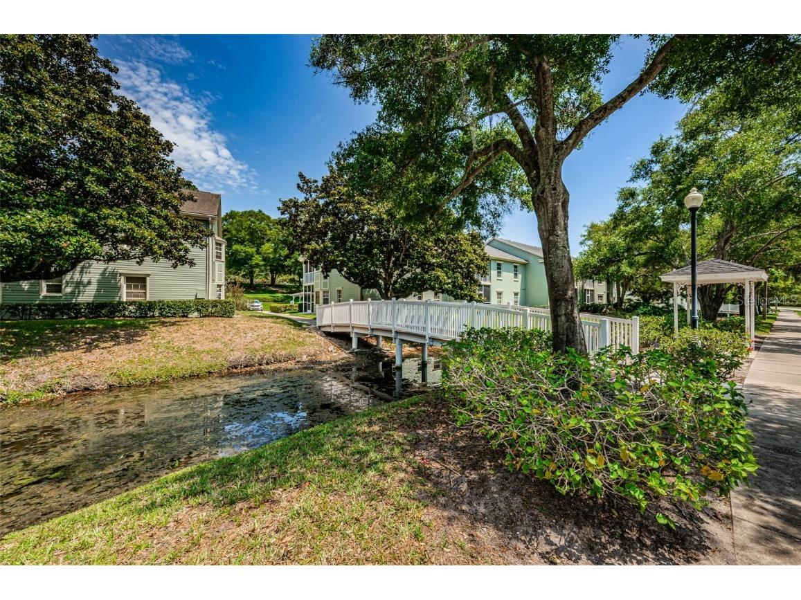 240 Promenade Drive #102 Dunedin FL 34698 TB8461803 image38