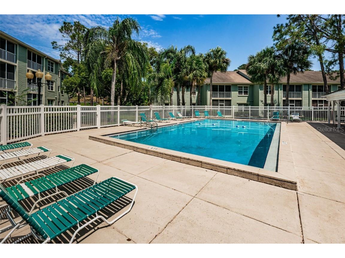240 Promenade Drive #102 Dunedin FL 34698 TB8461803 image41