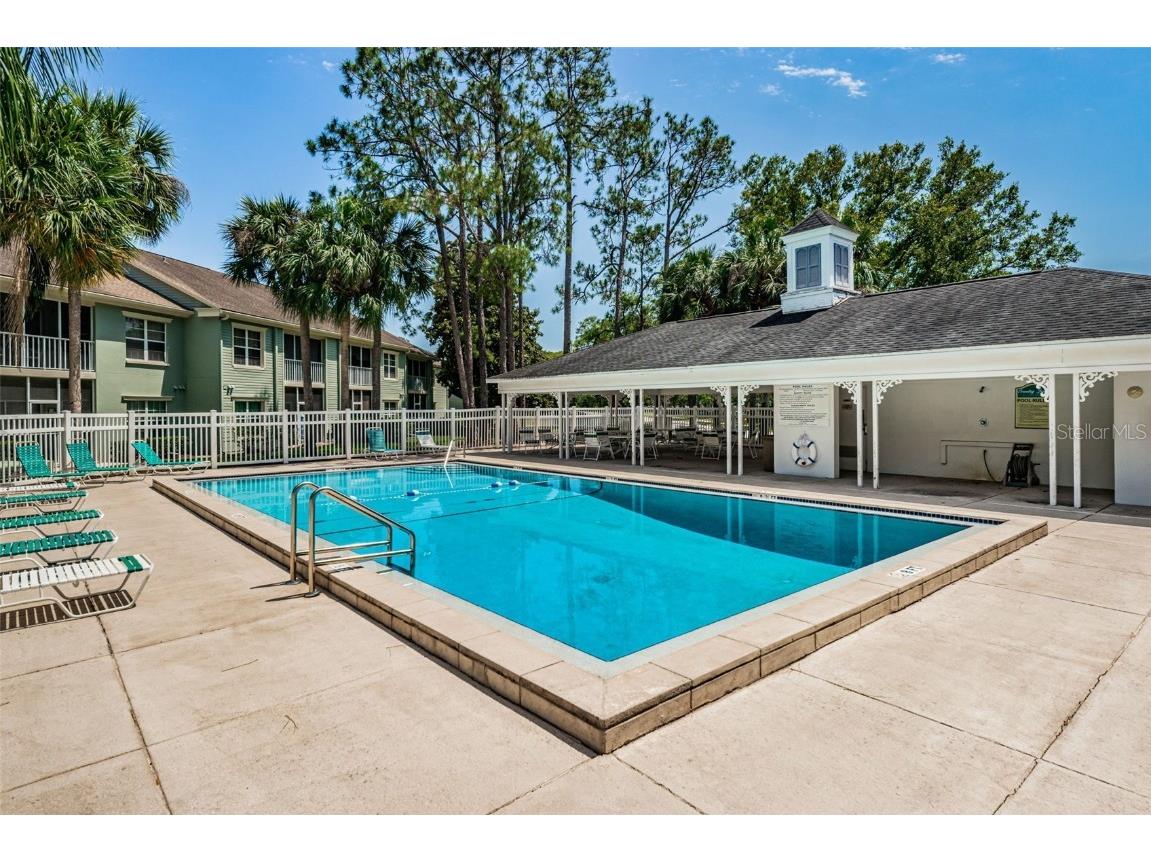 240 Promenade Drive #102 Dunedin FL 34698 TB8461803 image45