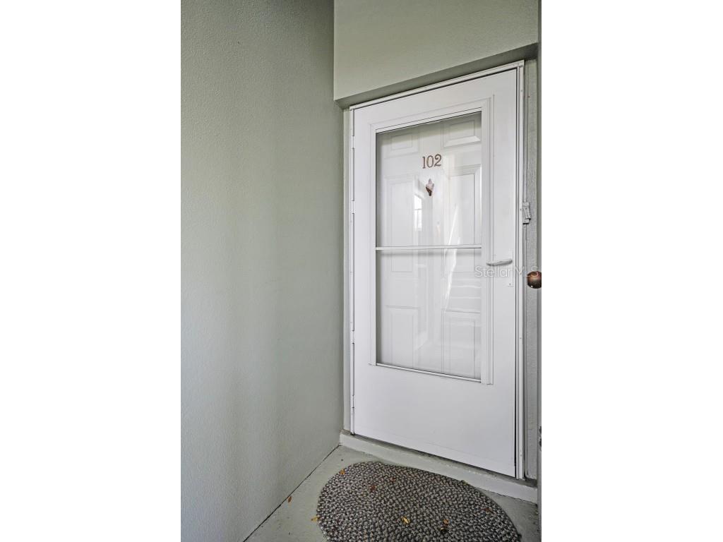 240 Promenade Drive #102 Dunedin FL 34698 TB8461803 image5