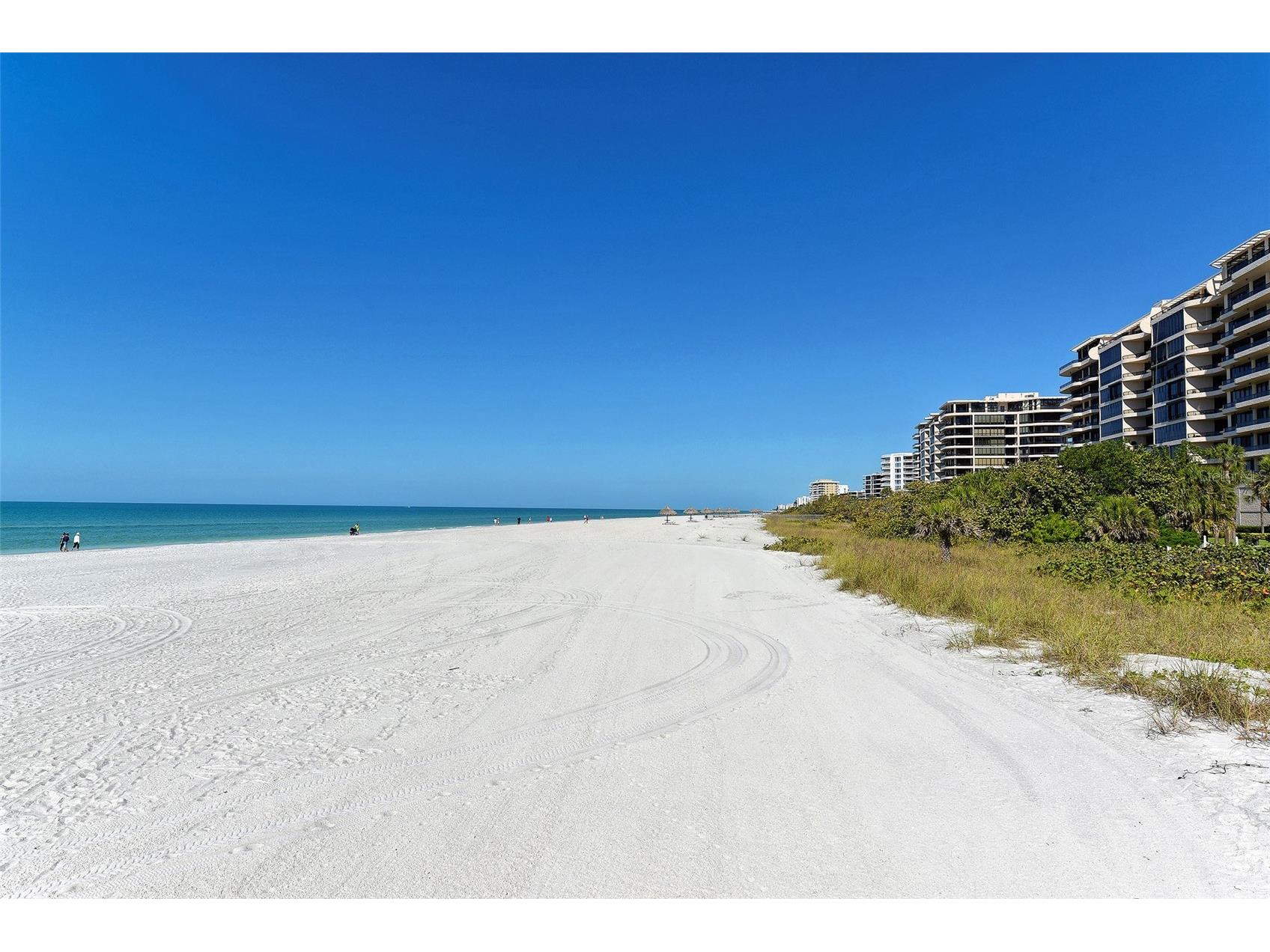 240 Sands Point Road #4205 Longboat Key FL 34228 A4667038 image18