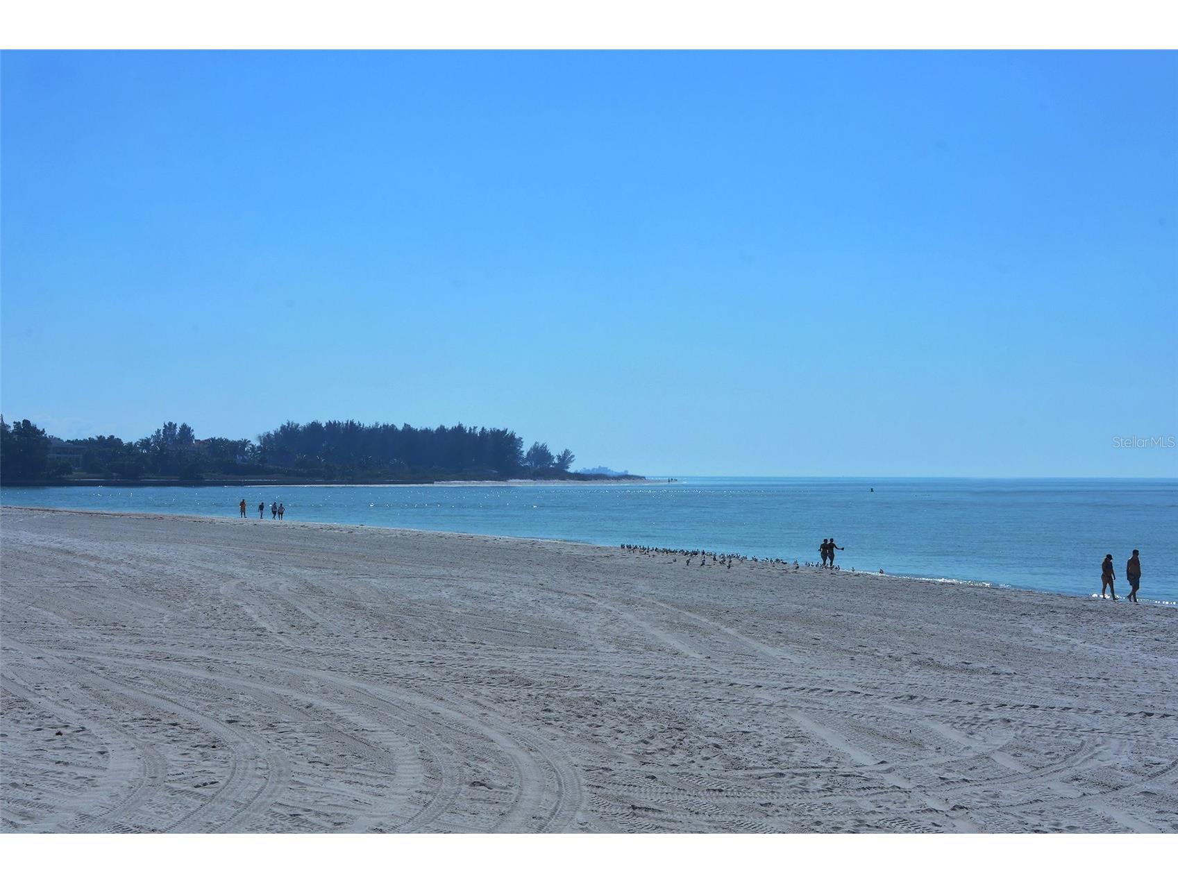 240 Sands Point Road #4205 Longboat Key FL 34228 A4667038 image30