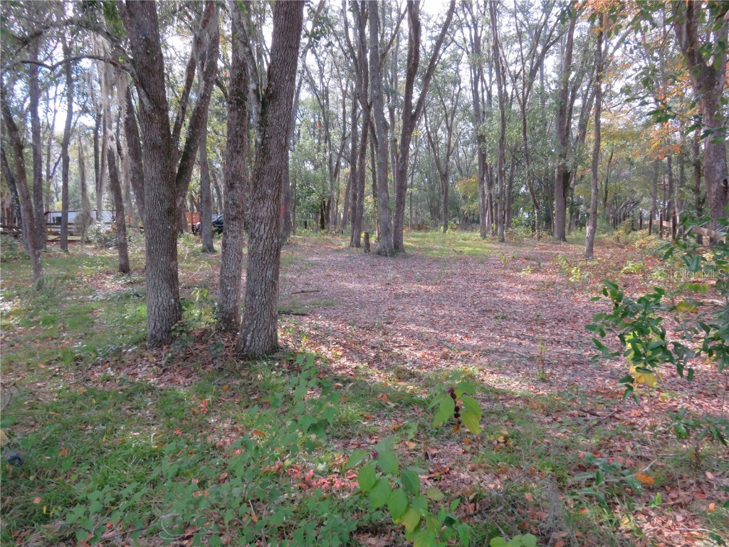 240 SE 165th Court Road Silver Springs FL 34488 - Owen OM714044 image13