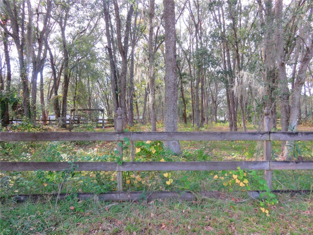 240 SE 165th Court Road Silver Springs FL 34488 - Owen OM714044 image45