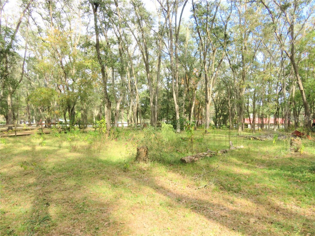 240 SE 165th Court Road Silver Springs FL 34488 - Owen OM714044 image47