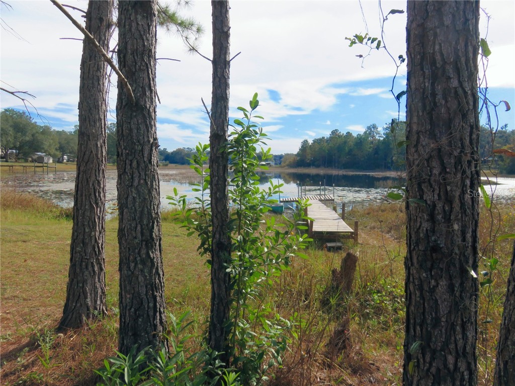 240 SE 165th Court Road Silver Springs FL 34488 - Owen OM714044 image54