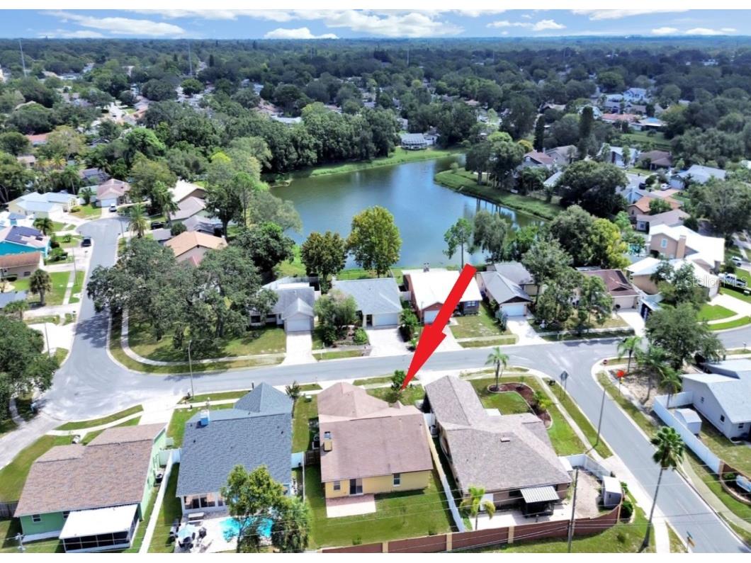 240 Whisper Lake Road Palm Harbor FL 34683 TB8435679 image4