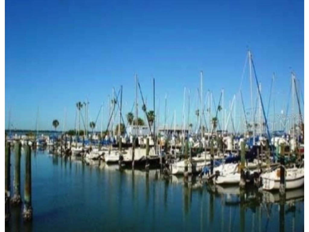 240 Whisper Lake Road Palm Harbor FL 34683 TB8435679 image41