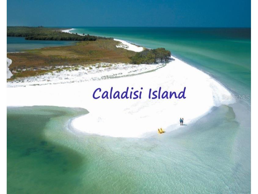 240 Whisper Lake Road Palm Harbor FL 34683 TB8435679 image44