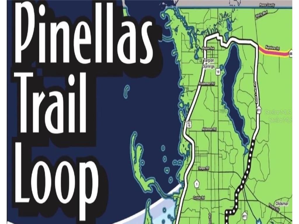 240 Whisper Lake Road Palm Harbor FL 34683 TB8435679 image45