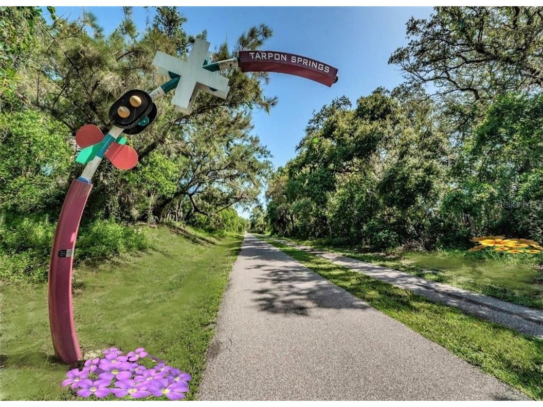 240 Whisper Lake Road Palm Harbor FL 34683 TB8435679 image54