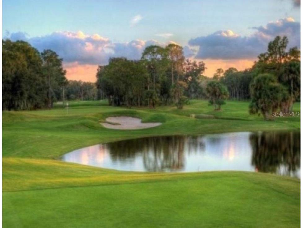 240 Whisper Lake Road Palm Harbor FL 34683 TB8435679 image55