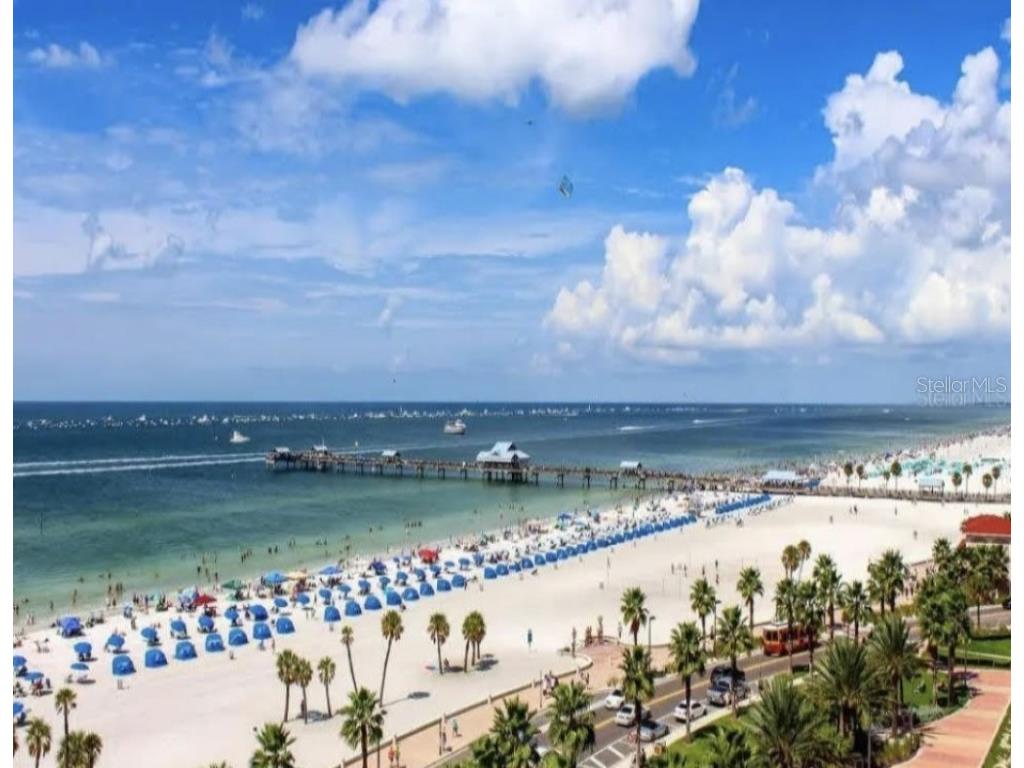 240 Whisper Lake Road Palm Harbor FL 34683 TB8435679 image57