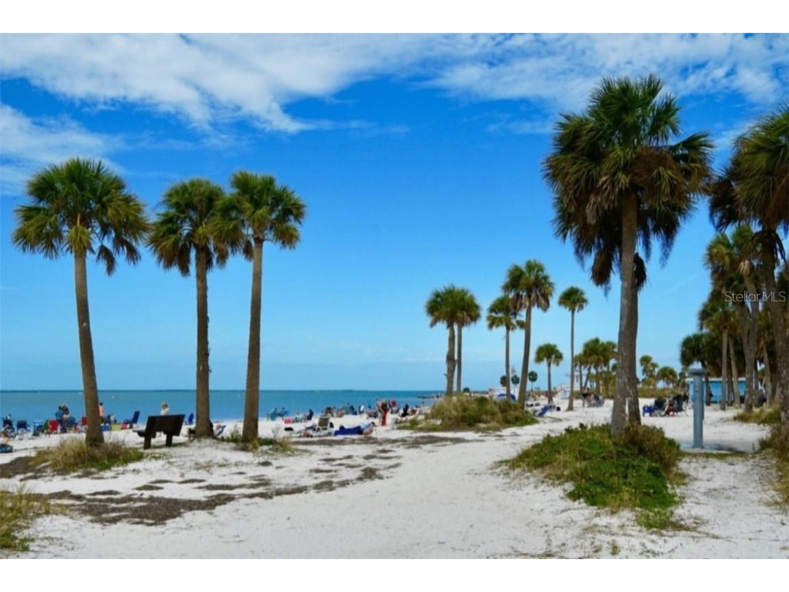 240 Whisper Lake Road Palm Harbor FL 34683 TB8435679 image60