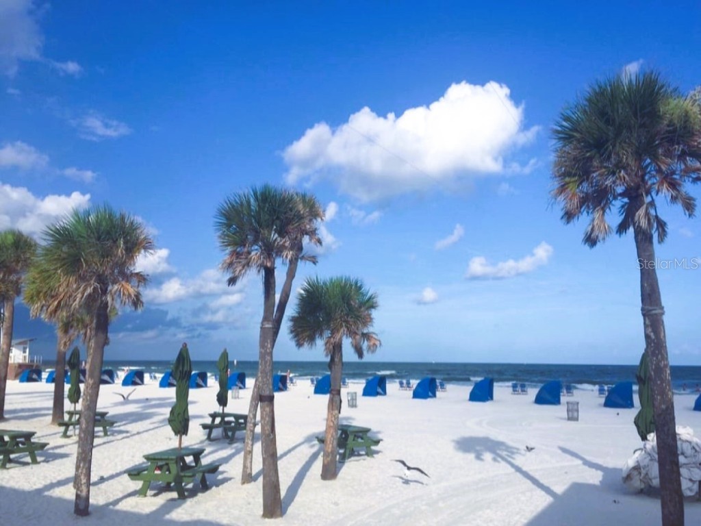 240 Whisper Lake Road Palm Harbor FL 34683 TB8435679 image61