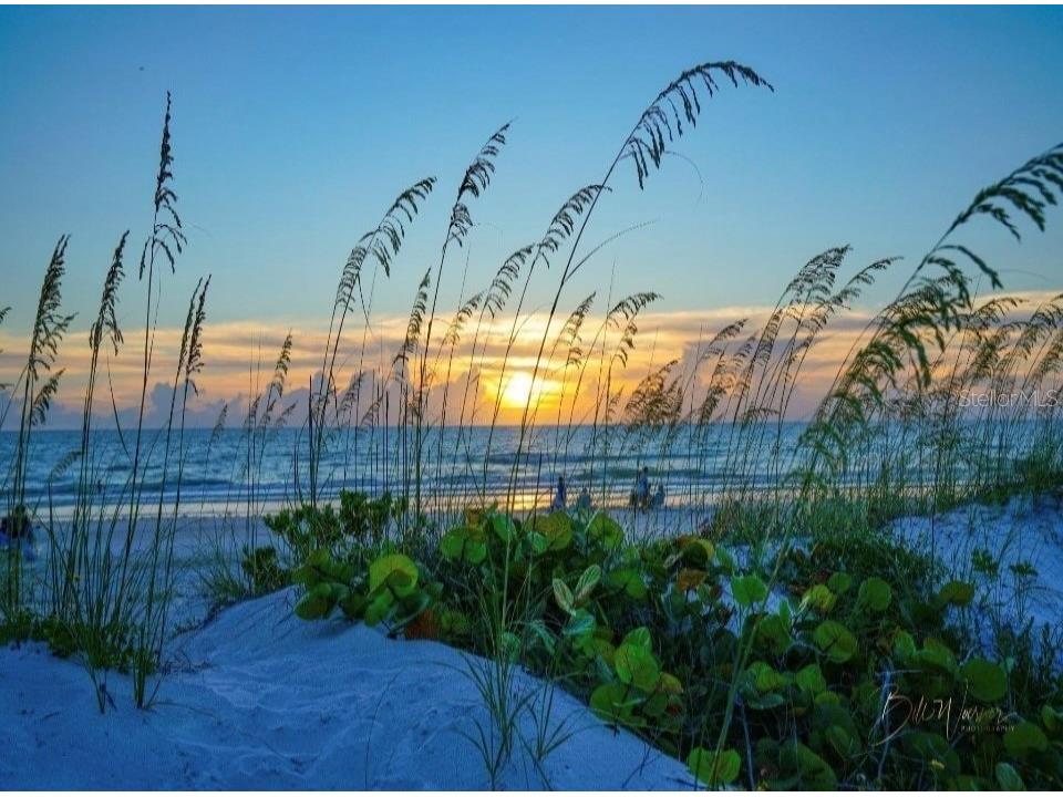 240 Whisper Lake Road Palm Harbor FL 34683 TB8435679 image63