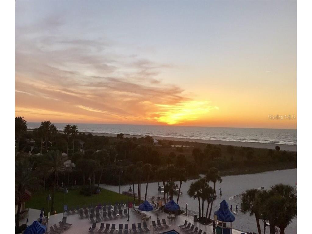 240 Whisper Lake Road Palm Harbor FL 34683 TB8435679 image64