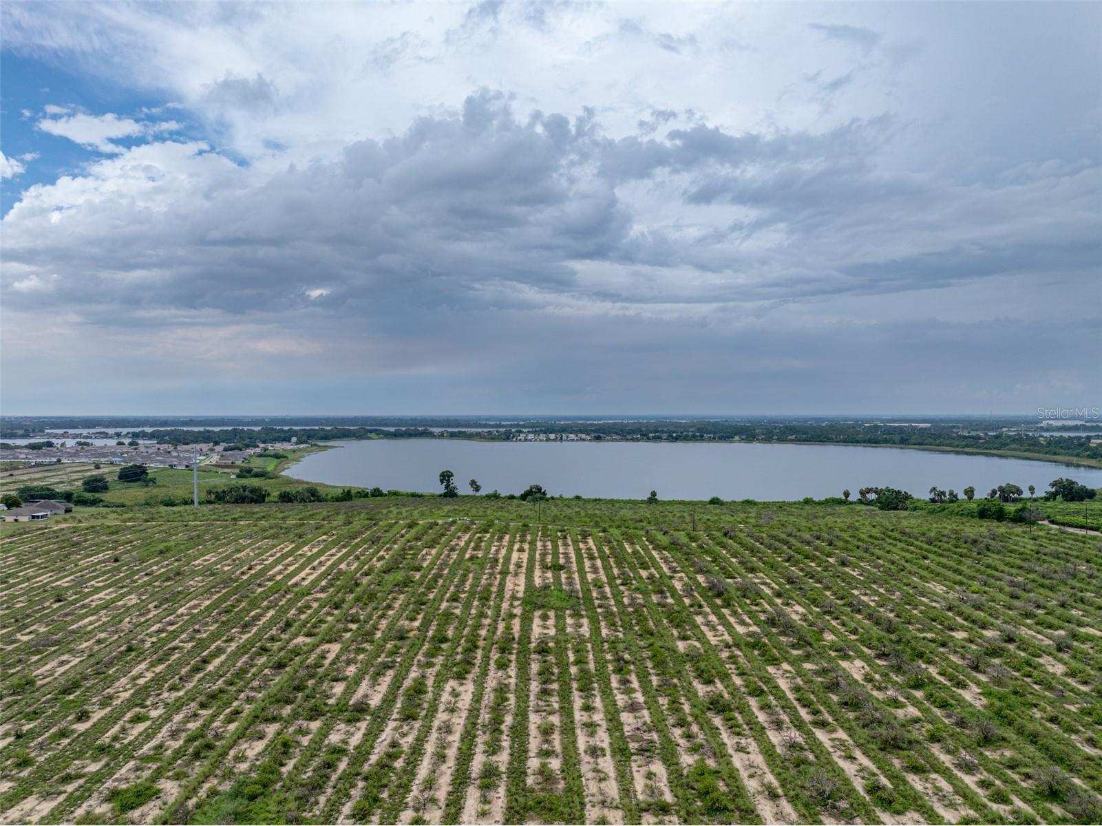 2400 11th Street NE Winter Haven FL 33881 O6384022 image1