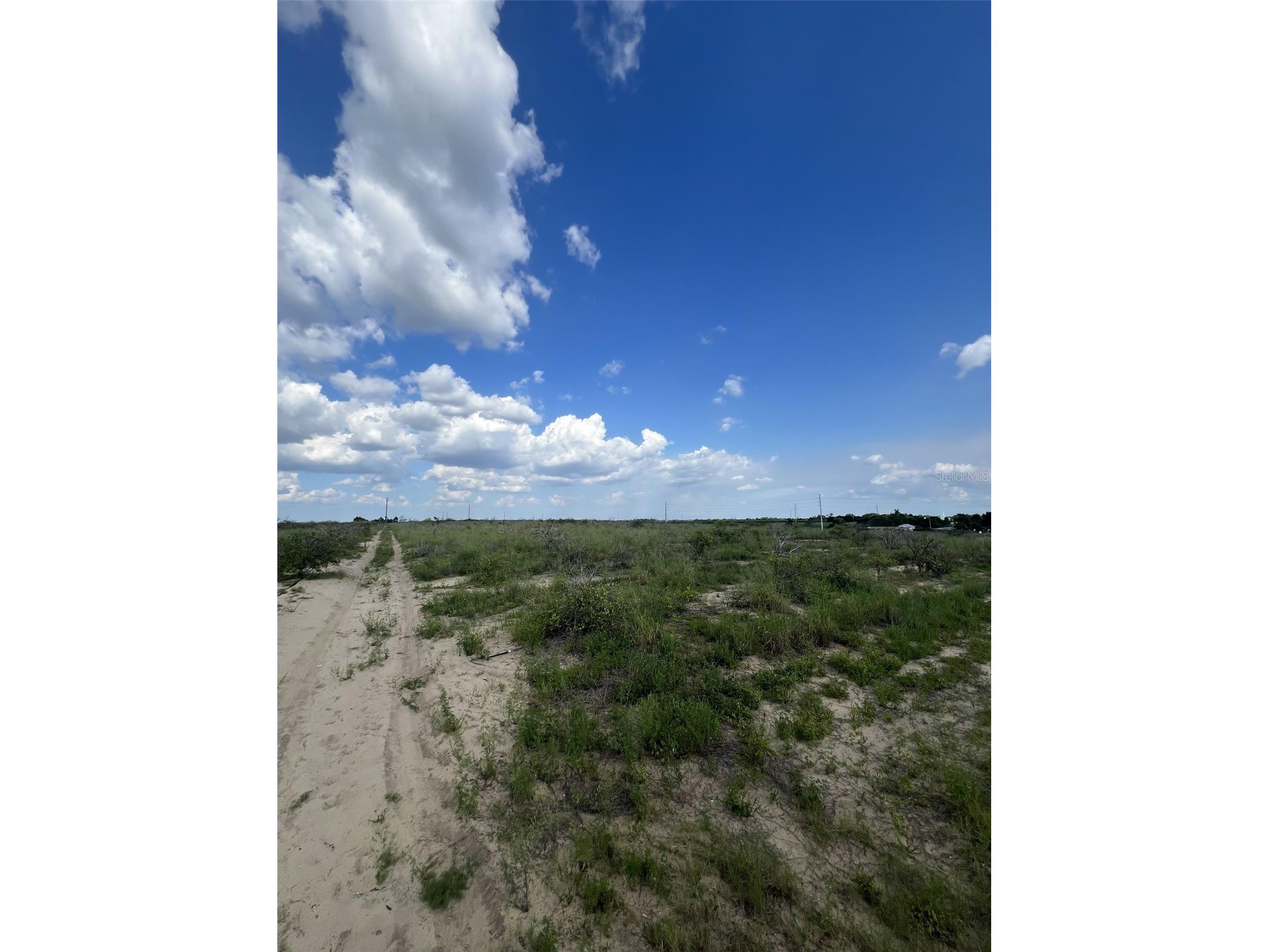 2400 11th Street NE Winter Haven FL 33881 O6384022 image6