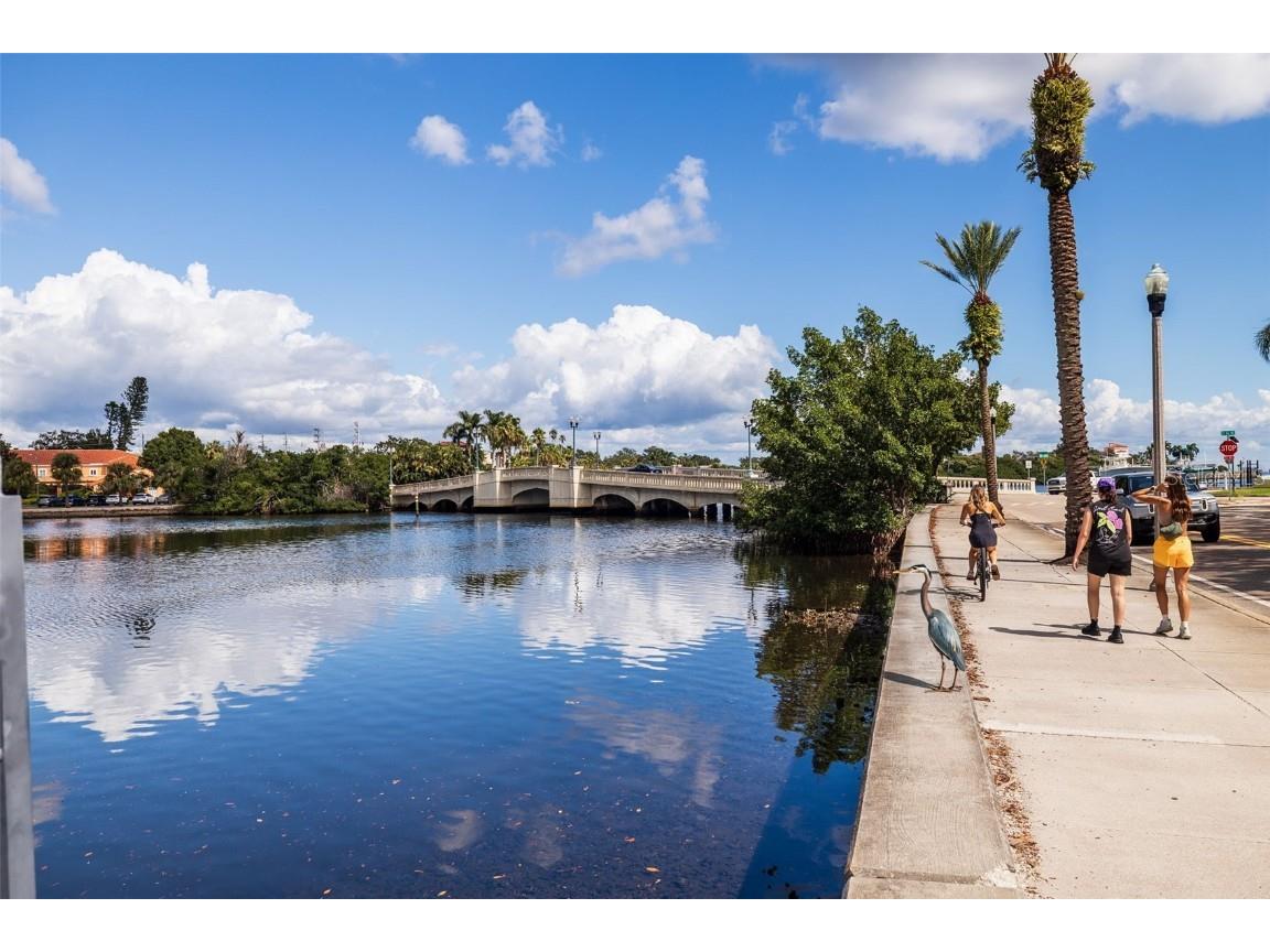 2400 Coffee Pot Boulevard NE Saint Petersburg FL 33704 - COFFEE POT BAYOU TB8430966 image11