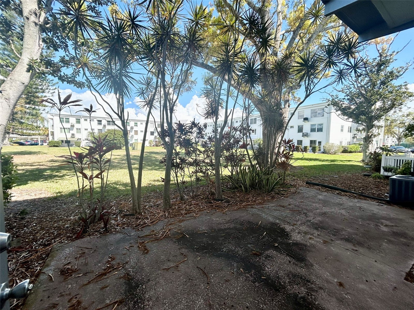 2400 Columbia Drive #18 Clearwater FL 33763 TB8483456 image19
