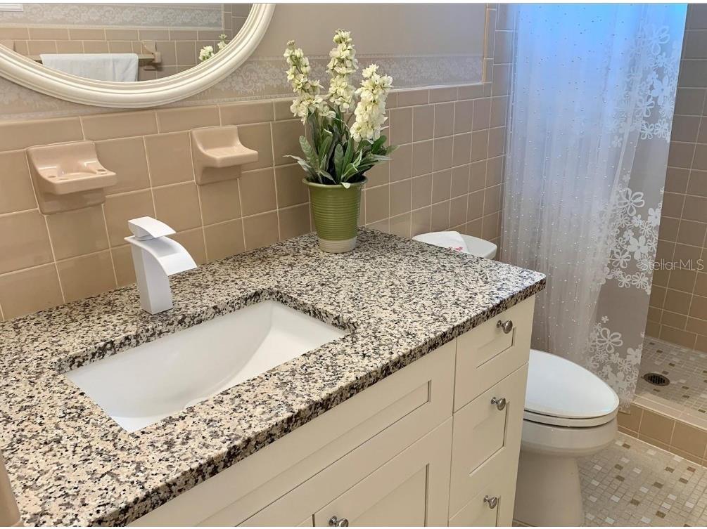 2400 Columbia Drive #28 Clearwater FL 33763 TB8421741 image24