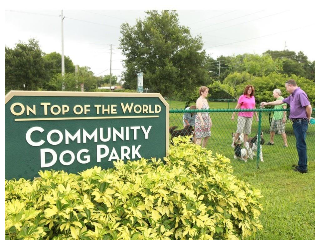 2400 Columbia Drive #28 Clearwater FL 33763 TB8421741 image29