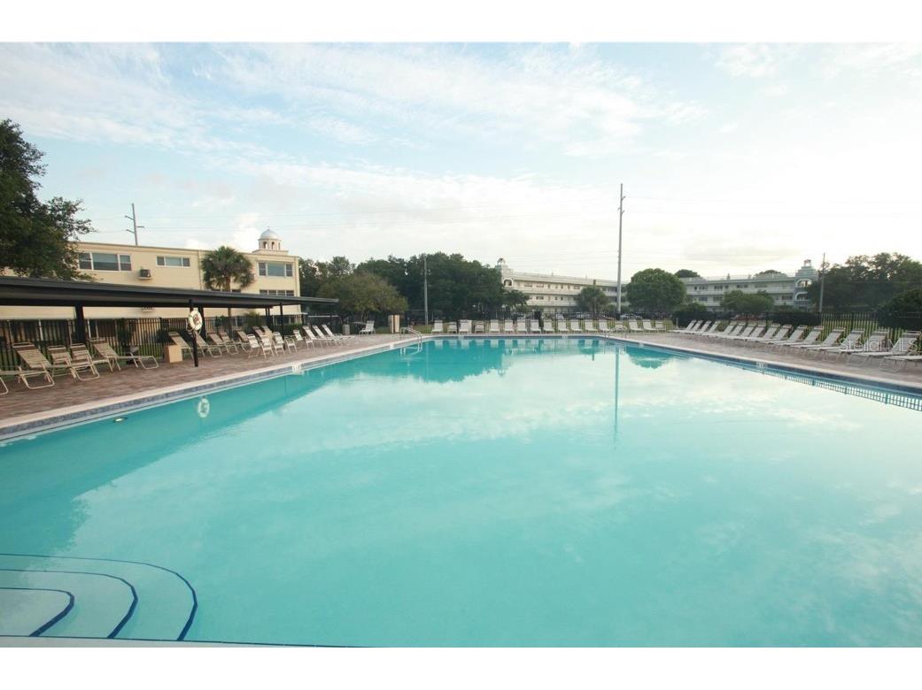 2400 Columbia Drive #28 Clearwater FL 33763 TB8421741 image33